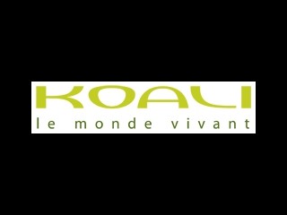 Koali